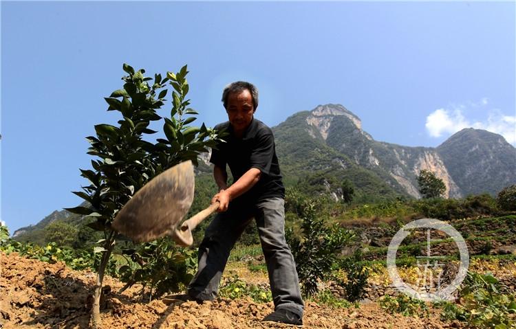 梦见修路是什么预兆，梦见修路是什么预兆梦见房子一下蹯（带领全村人修出了一条“黄金路”）