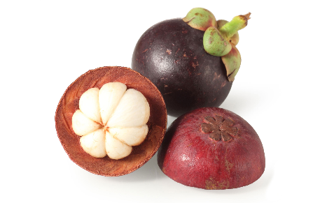 山竹的禁忌与功效，山竹的禁忌与功效是什么（山竹吃多了有什么坏处）