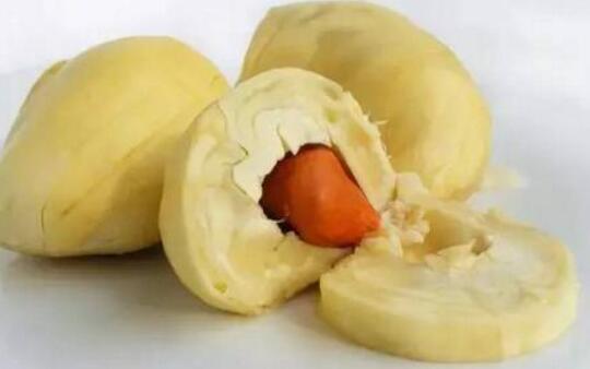 榴莲籽怎么吃，榴莲吃多会怎么样（榴莲的籽可以生吃吗）