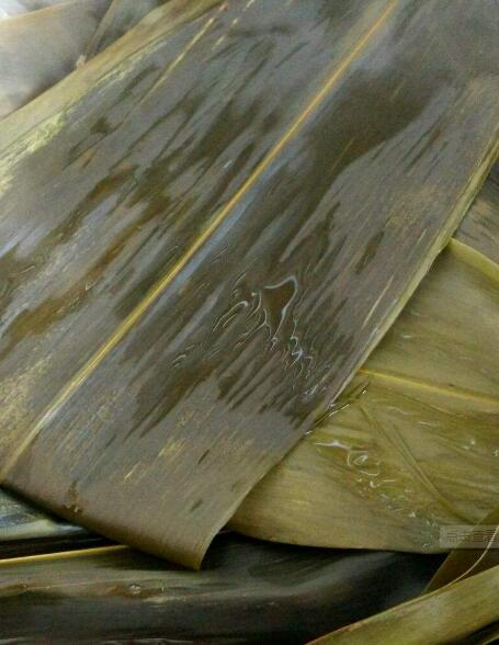 干粽叶不用泡直接煮行不行，干粽叶可以直接煮吗（干粽叶用煮还是开水泡好）