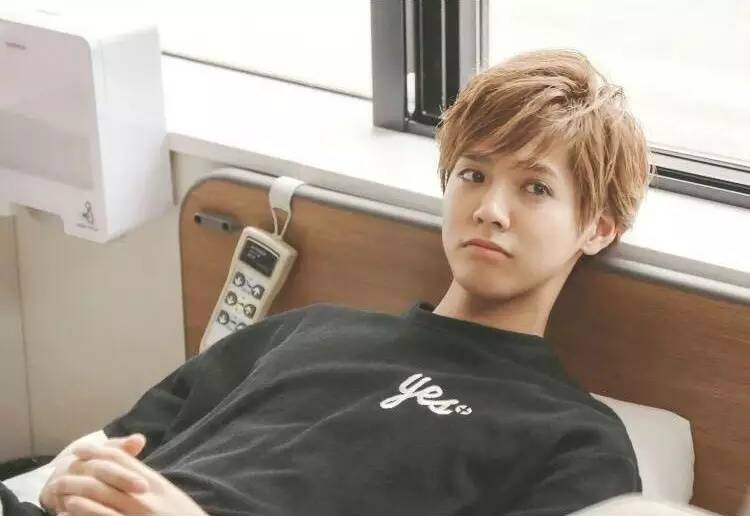 海月姬的演员，海月姬男主是谁（安利一波新口味の男友）