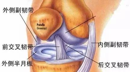 跳高穿什么鞋子保护膝关节，跳绳穿什么鞋子对膝盖好（50岁后千万要保护好膝关节）