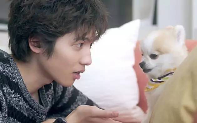 海月姬的演员，海月姬男主是谁（安利一波新口味の男友）