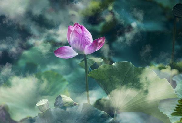 孕妇梦见大象是什么意思，孕早期梦见大象（看古人脑洞大开的解梦方法）