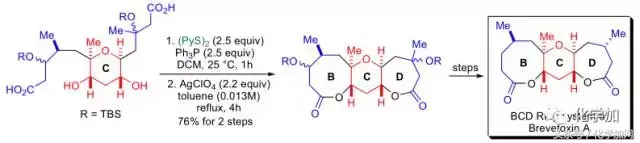酯化反应的条件，酯化反应条件（经典化学反应——大环内酯化反应）