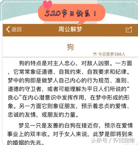 梦见狗狗对我特别亲热，梦见狗狗对我特别亲热还会说话（梦见狗狗预示了什么）