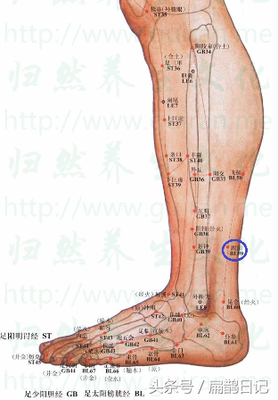 足部反射区图解大全，足部按摩手法24步图解（治疗脚气、头痛、外踝肿痛等）