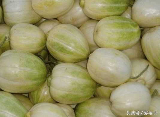 香瓜的籽能吃吗，香瓜籽能吃吗（种的一种瓜不吃肉）