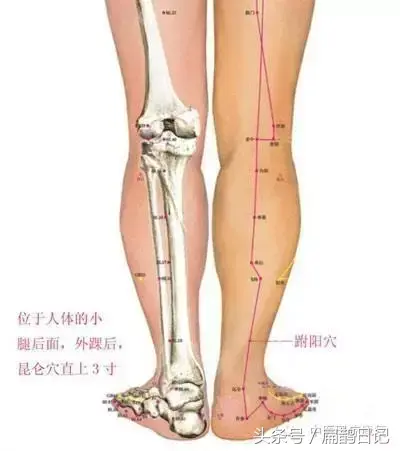 足部反射区图解大全，足部按摩手法24步图解（治疗脚气、头痛、外踝肿痛等）