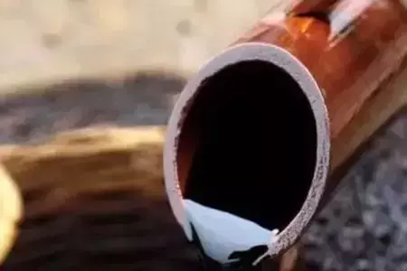 吃醋有什么好处，吃醋对身体有什么好处（还有意想不到的效果哦）
