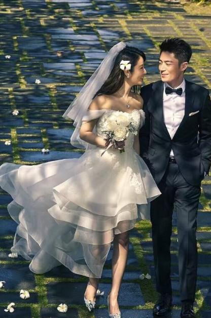 李晨范冰冰不结婚原因，范冰冰和李晨为什么没有结婚呢（范冰冰、李晨为啥迟迟不结婚）