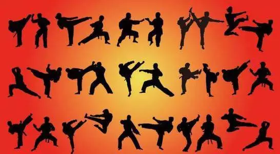 中国武术的商业江湖，中国武术文化（媒体：需要“打假”的传统武术）