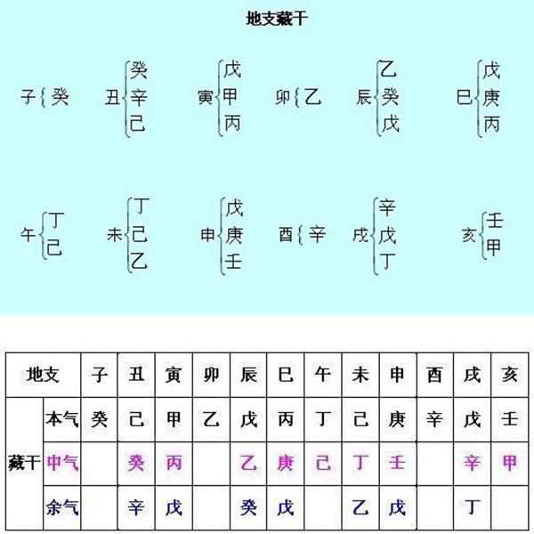 贼头贼脑开过什么生肖，贼头贼脑打一个生肖（论十二生肖之吉凶祸福）