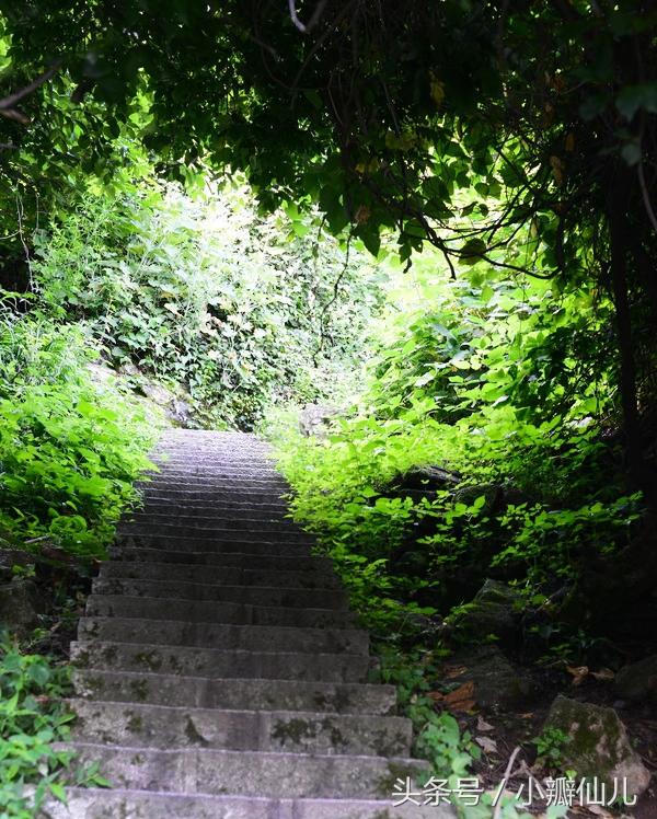 2021端午节西安周边自驾游去哪里好玩 端午西安周边游冷门景美好去处，2021端午节西安周边自驾游去哪里好玩（这10条西安周边游线路男女通“痴”）