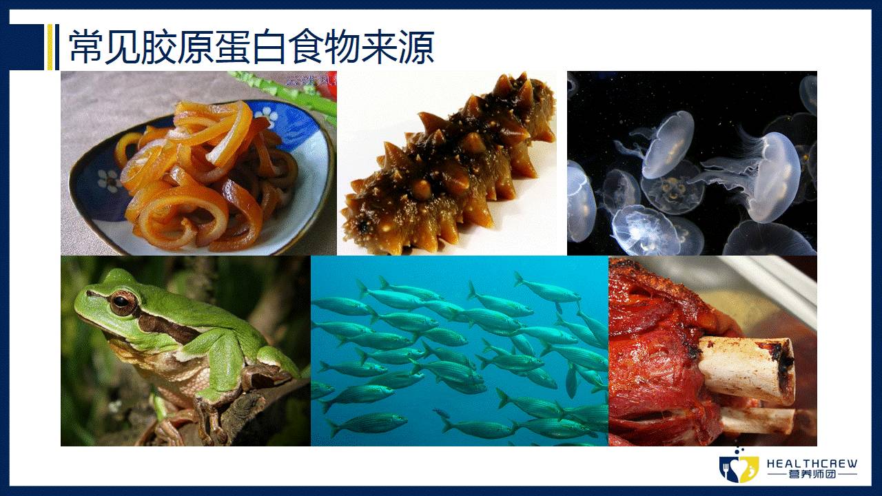 鱼胶原蛋白的功效，胶原蛋白的功效与作用（胶原蛋白肽到底是个什么鬼）