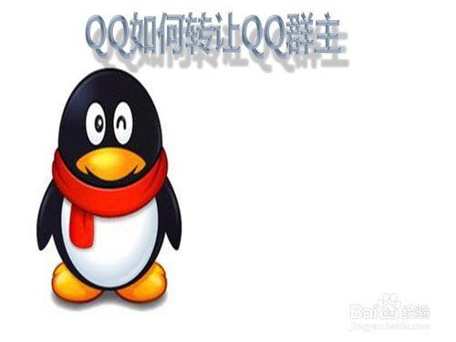 如何转让群主(微信群主怎么找)