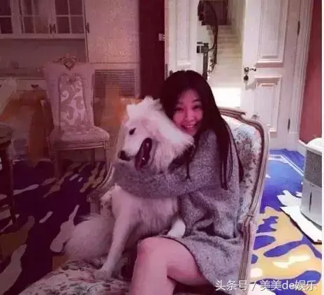 欢乐颂里演关关的演员叫什么名字，欢乐颂关关是谁扮演的（《欢乐颂2》毫不起眼的“关关”是白富美）