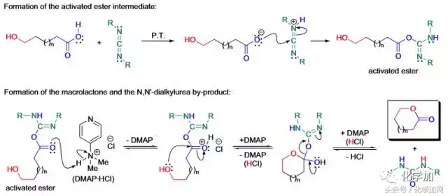 酯化反应的条件，酯化反应条件（经典化学反应——大环内酯化反应）