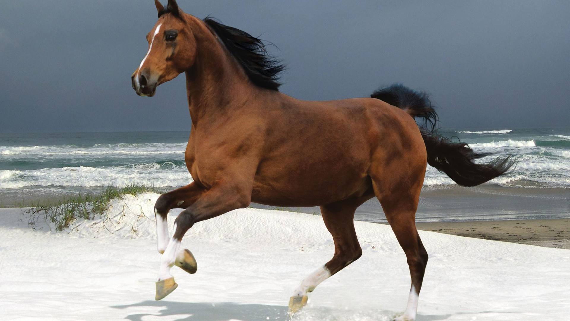 马和马配(马和马配婚姻好不好是几合) - 珍缘易学