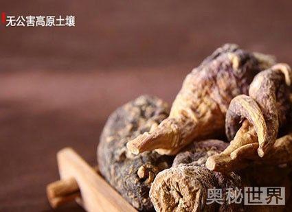 玛咖是什么东西，玛咖是什么东西有什么作用（玛卡的功效与作用,玛卡怎么吃）