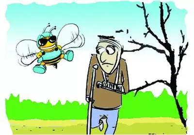马蜂蛰了怎么办,马蜂蛰了怎么办小妙招(救急手册:被蜜蜂蛰了怎么办)