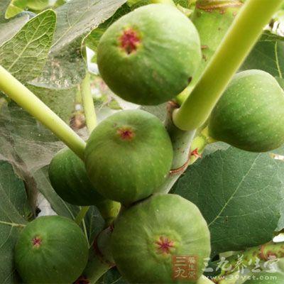 孕期吃什么水果，孕期吃什么水果补铁（孕妇吃哪些水果有益健康）