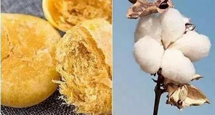 怎样辨别肉松和棉花,肉松与棉花如何鉴别(它们都是被谣言伤害过的食品~) 怎样辨别肉松和棉花,肉松与棉花如何鉴别(它们都是被谣言伤害过的食品~)