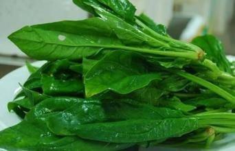 怎样辨别肉松和棉花，肉松与棉花如何鉴别（它们都是被谣言伤害过的食品~）