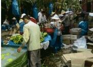 怎样辨别肉松和棉花，肉松与棉花如何鉴别（它们都是被谣言伤害过的食品~）