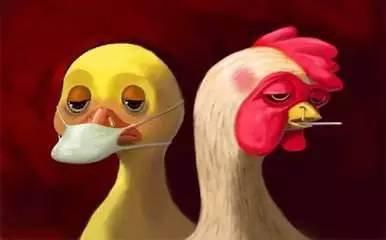 怎样辨别肉松和棉花，肉松与棉花如何鉴别（它们都是被谣言伤害过的食品~）