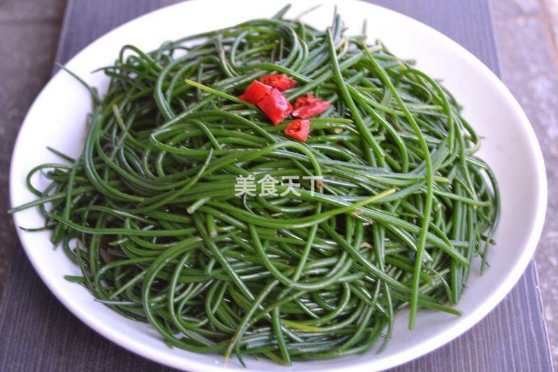 沙葱做法，沙葱怎么吃法（花吃，凉拌沙葱）