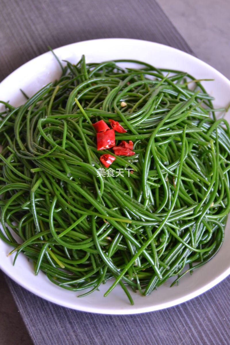 沙葱做法，沙葱怎么吃法（花吃，凉拌沙葱）