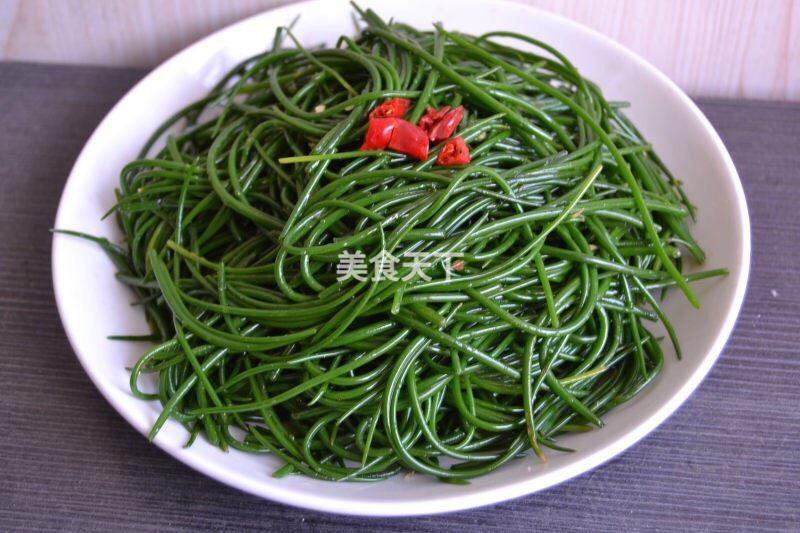 沙葱做法，沙葱怎么吃法（花吃，凉拌沙葱）