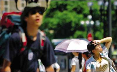 茯苓荷叶茶的功效，陈皮荷叶茶的功效与作用有什么（你需要学会做的一道汤）