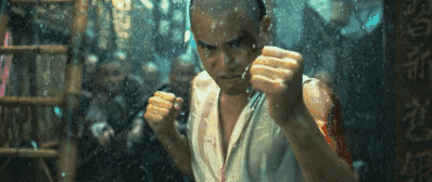 中国武术的商业江湖，中国武术文化（媒体：需要“打假”的传统武术）