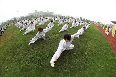 中国武术的商业江湖，中国武术文化（媒体：需要“打假”的传统武术）