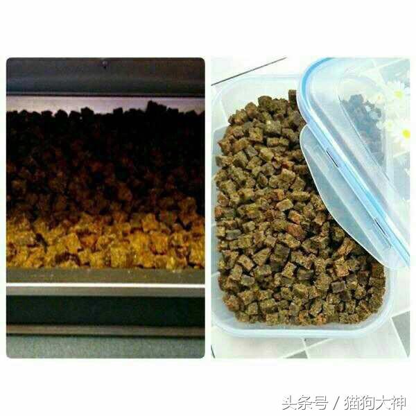 宠物狗粮配方，宠物狗粮配方表（你们追着要的自制超营养狗粮配方）