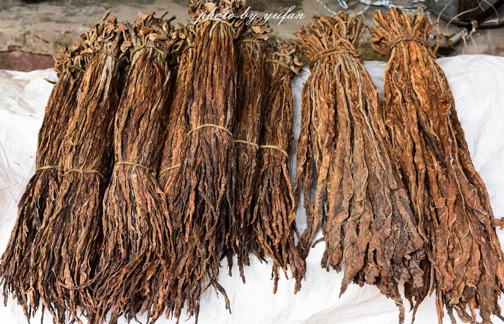 贵州赤水大同古镇,发现久违的四川叶子烟