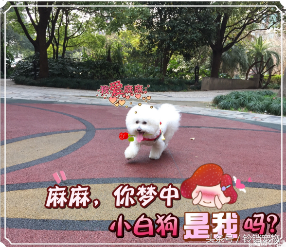 梦见狗狗对我特别亲热，梦见狗狗对我特别亲热还会说话（梦见狗狗预示了什么）