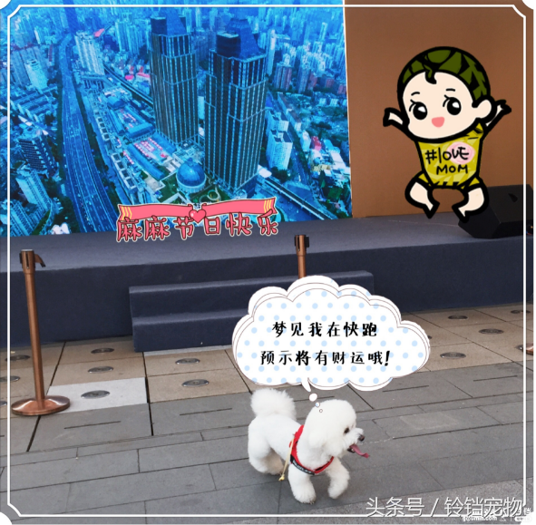 梦见狗狗对我特别亲热，梦见狗狗对我特别亲热还会说话（梦见狗狗预示了什么）