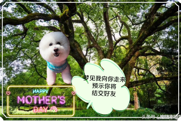 梦见狗狗对我特别亲热，梦见狗狗对我特别亲热还会说话（梦见狗狗预示了什么）