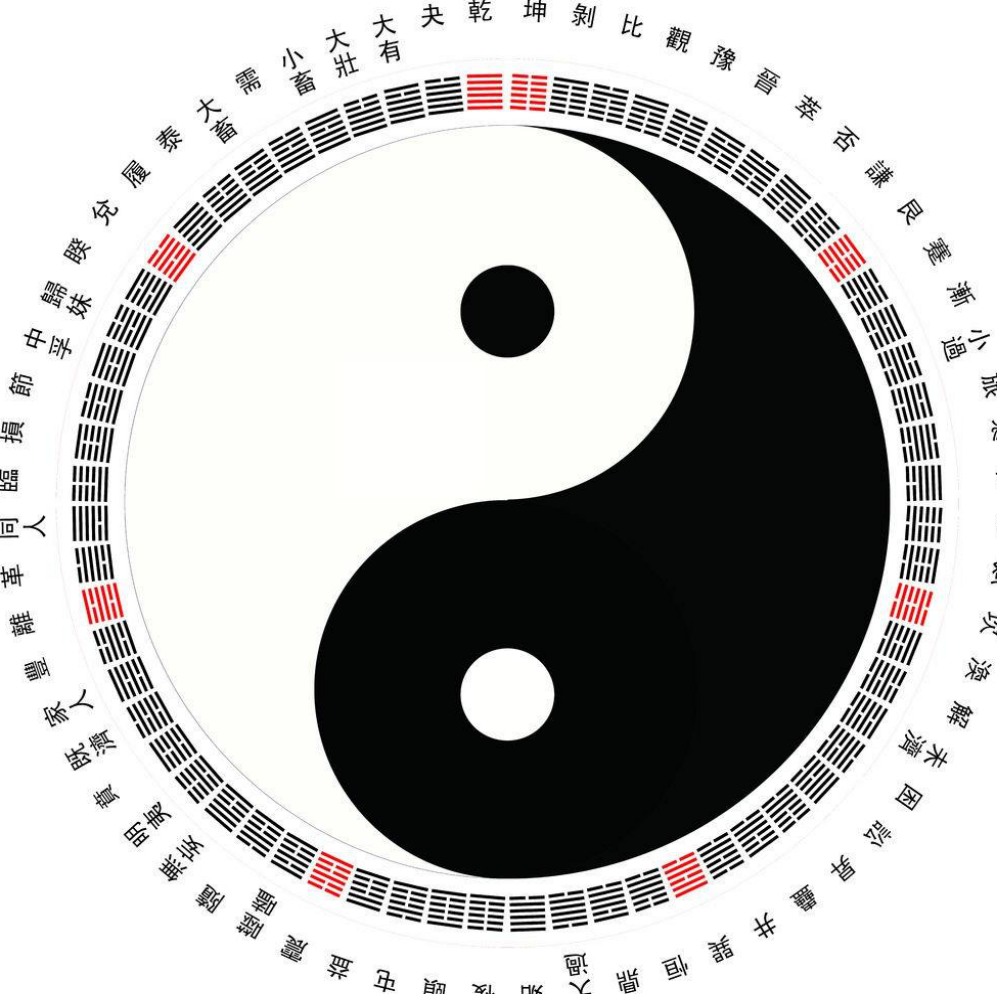 揲字具体怎么读,03字怎么读(《周易》中如何用蓍草占验凶吉的)