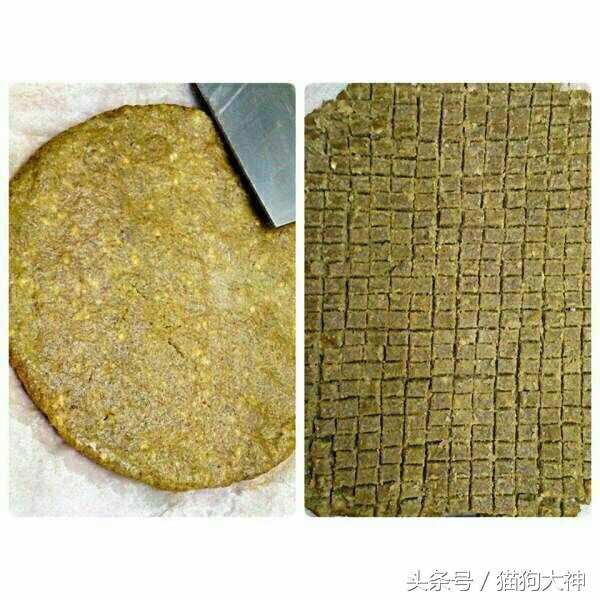 宠物狗粮配方，宠物狗粮配方表（你们追着要的自制超营养狗粮配方）