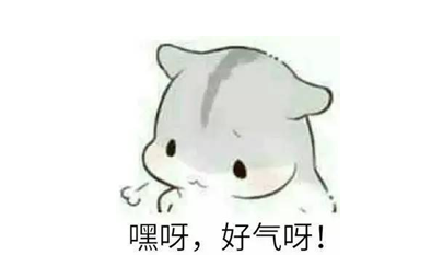 猪奶为什么没人喝，为什么没人喝猪奶（蛋白质含量比牛奶还高的猪奶）