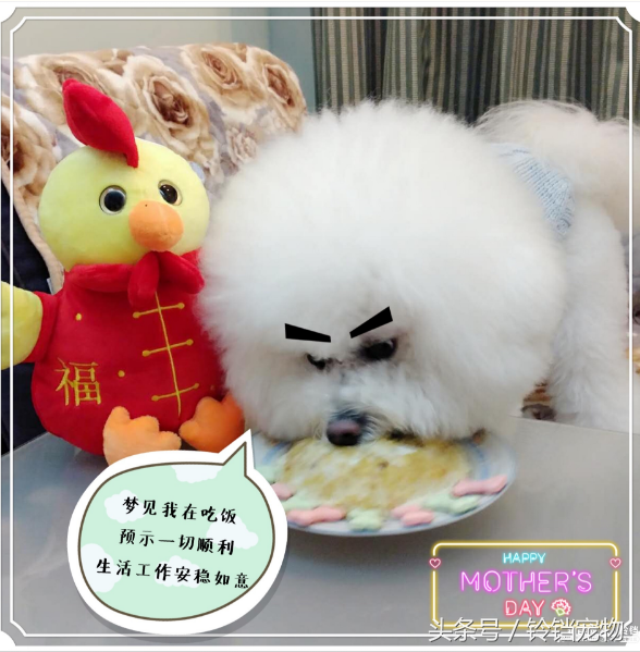 梦见狗狗对我特别亲热，梦见狗狗对我特别亲热还会说话（梦见狗狗预示了什么）