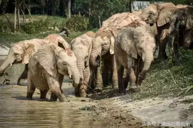 清远长隆在哪个位置，清远长隆位置在哪里（清远长隆将在2019年开业）