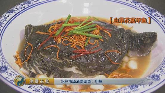 团鱼怎么杀，团鱼如何宰杀（“水产奢侈品”甲鱼如何挑选）