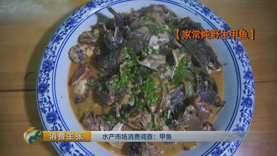 团鱼怎么杀，团鱼如何宰杀（“水产奢侈品”甲鱼如何挑选）