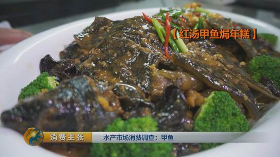 团鱼怎么杀，团鱼如何宰杀（“水产奢侈品”甲鱼如何挑选）