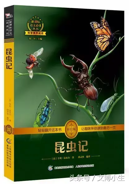 怎样用钢笔画母鸡孵化小鸡，怎样用钢笔画母鸡孵化小鸡视频（给孩子们的书单——张学东、方铁、俞晓群、周立民）